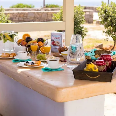 Kallirroe Master With Sea View And Pool Chrisi Akti (Paros)