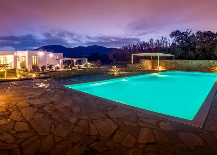 Kallirroe Master With Sea View And Pool Chrisi Akti (Paros)